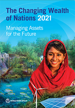 Cover image of report for: The Changing Wealth of Nations: 2021 (Chapter 13)