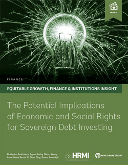 Cover image of report for: The Potential Implications of Economic and Social Rights for Sovereign Debt Investing
