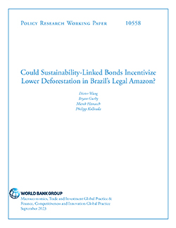 Cover image of report for: Could Sustainability-Linked Bonds Incentivize Lower Deforestation in Brazil’s Legal Amazon?