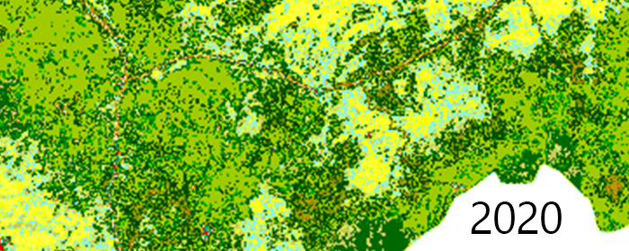 Image shows the landcover map according to the ESA CCI land cover classification from 2020.